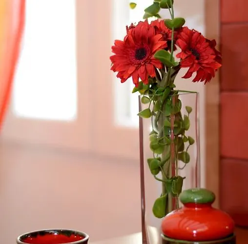 Anna Διαμέρισμα *